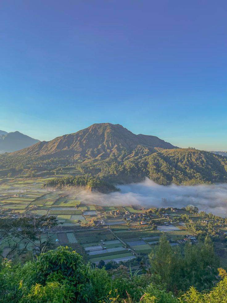 Kintamani