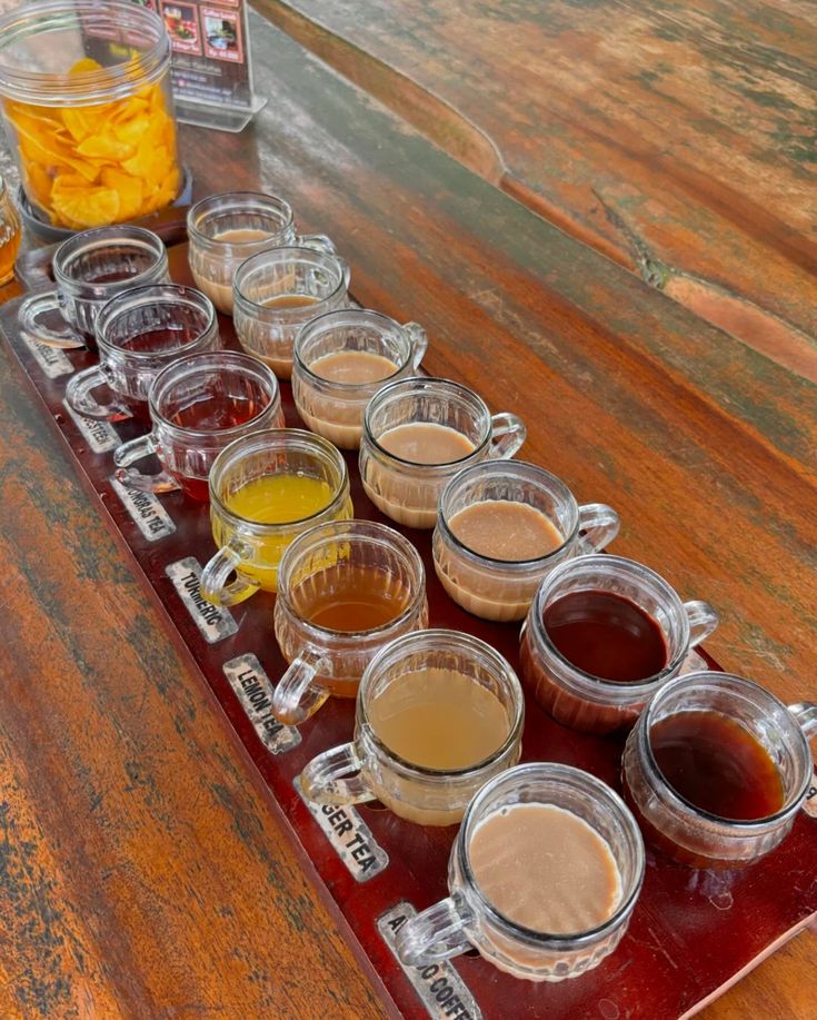 Coffe Plantation